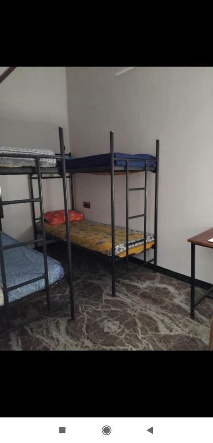 Etagenbett im gemischten Schlafsaal