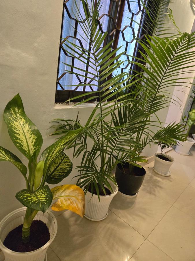 Varanasi Soulscape -Tajside Retreat - B&B Benarés
