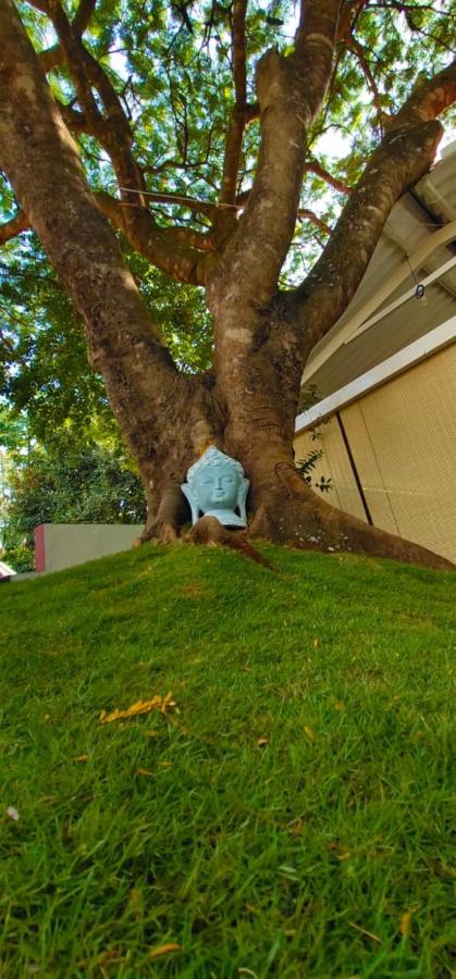 Pepperpeak homestay - B&B