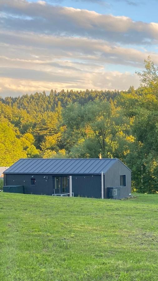 GoodMood Bieszczady - domek z widokiem, cisza i natura - B&B