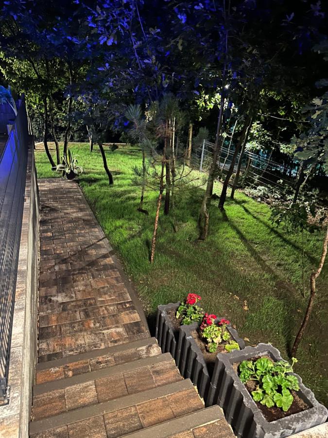 Alpine Villa&Pool - Bed and Breakfast Velika Slatina