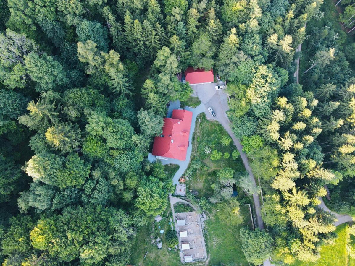 Ferienwohnung Huskyhausen - B&B