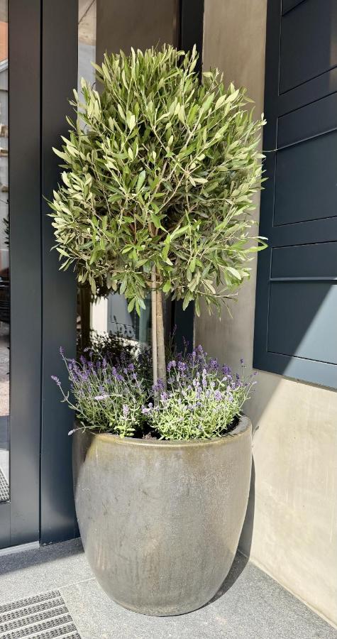 Apartmenthaus Burkhardt - B&B