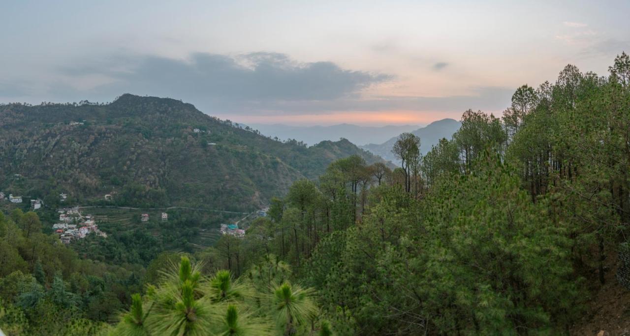 BlackPearl Heights - B&B Kasauli