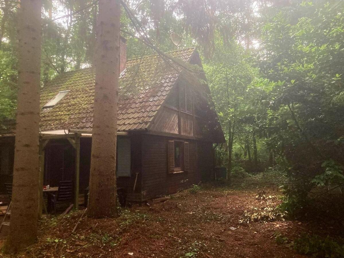 Idyllisch & ruhig - gemütliches Ferienhaus im Wald Hunde willkommen, in Hatten, nahe Oldenburg - B&B Hatten