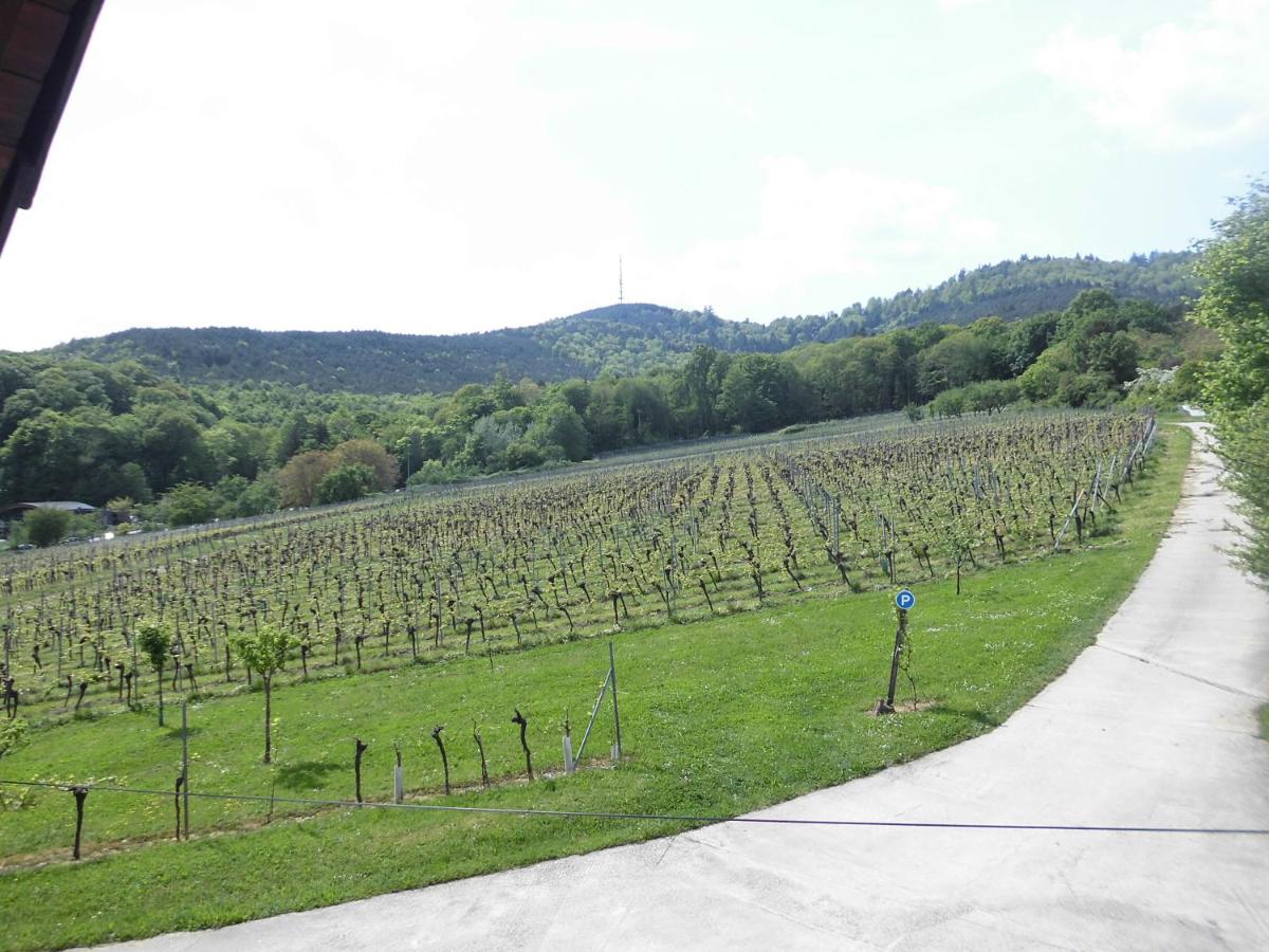 Aux Vignes - B&B
