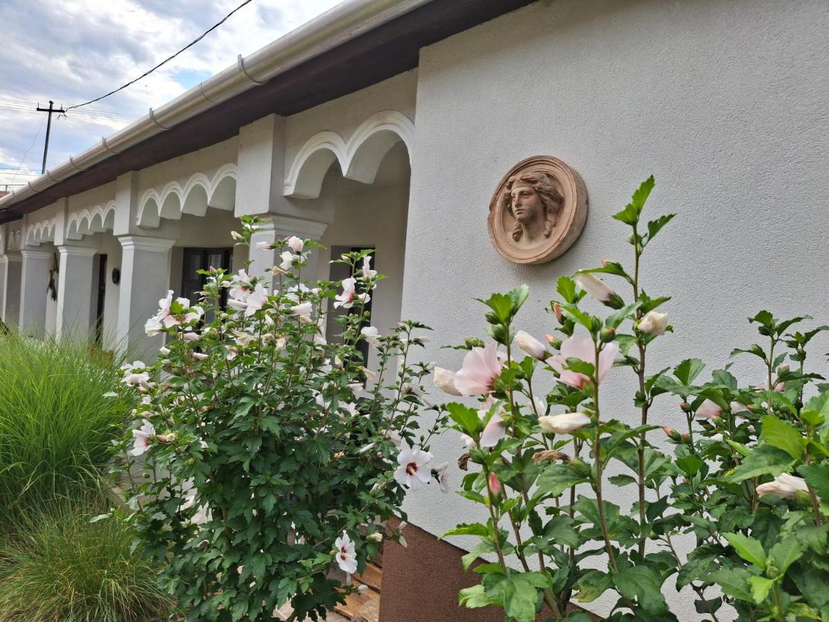 Téli Berek Vendégház - B&B Abod