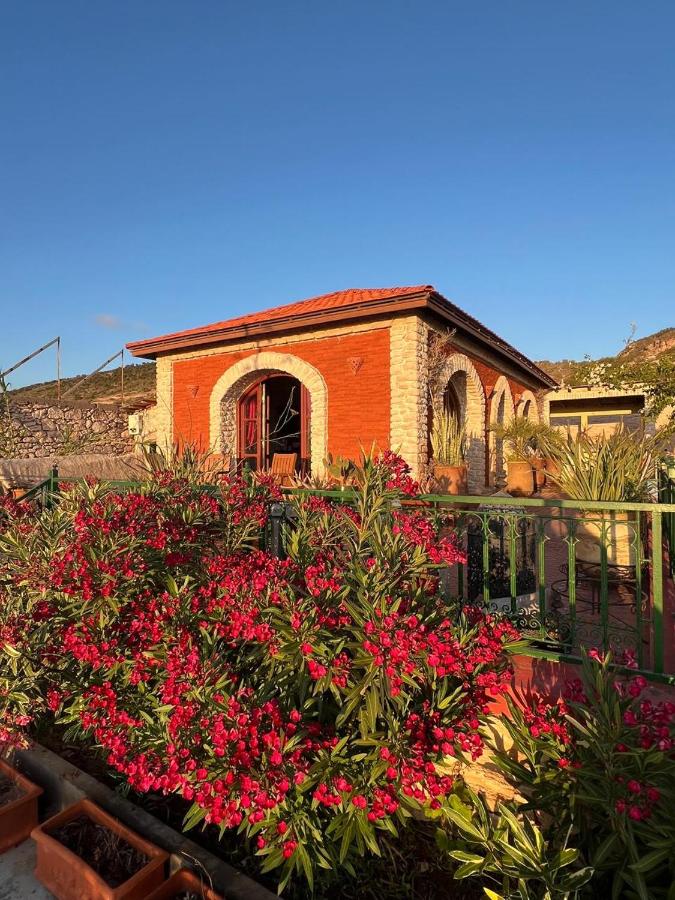Vila panoramic sur la mer - B&B