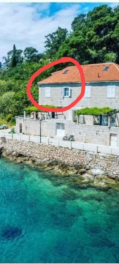 Seafront apartment Marina2 - B&B Gelsa