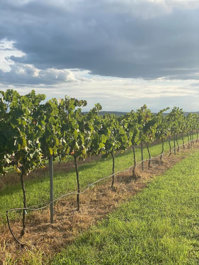 Lusso Retreats - South Burnett - 2 Bedroom Retreat - B&B Moffatdale