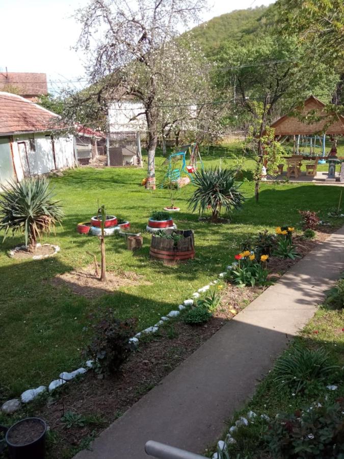 Seosko turisticko domacinstvo Milanovic - B&B Žuč