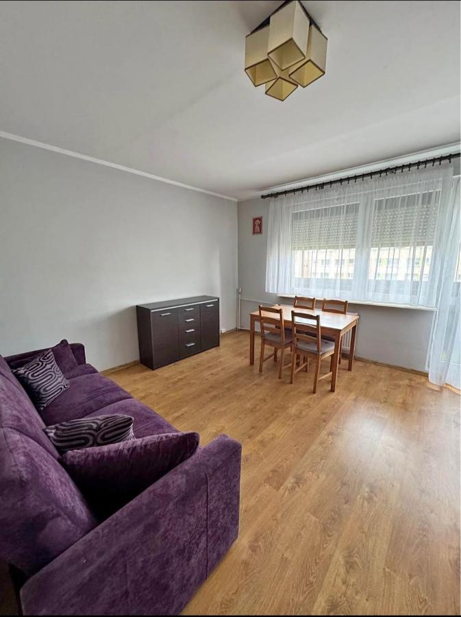 Budżetowe mieszkanie 40 m centrum konina - Chambres d’hôtes Konin
