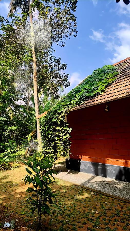 Nellu - Tranquil Pool Villa & Organic Farmstay near Varkala - B&B