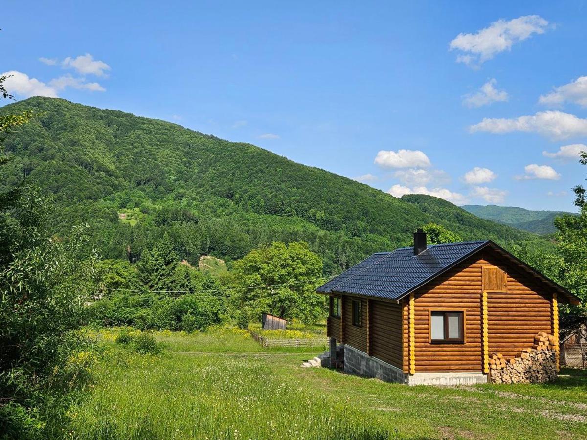 Садиба-дім Эдем Карпат - B&B
