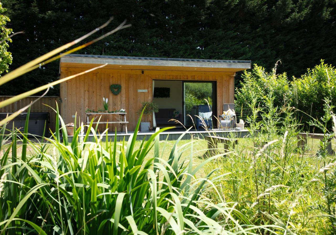 Luxury Silver Birch Lodge: Hot Tub/BBQ/Fire Pit - B&B Toppesfield