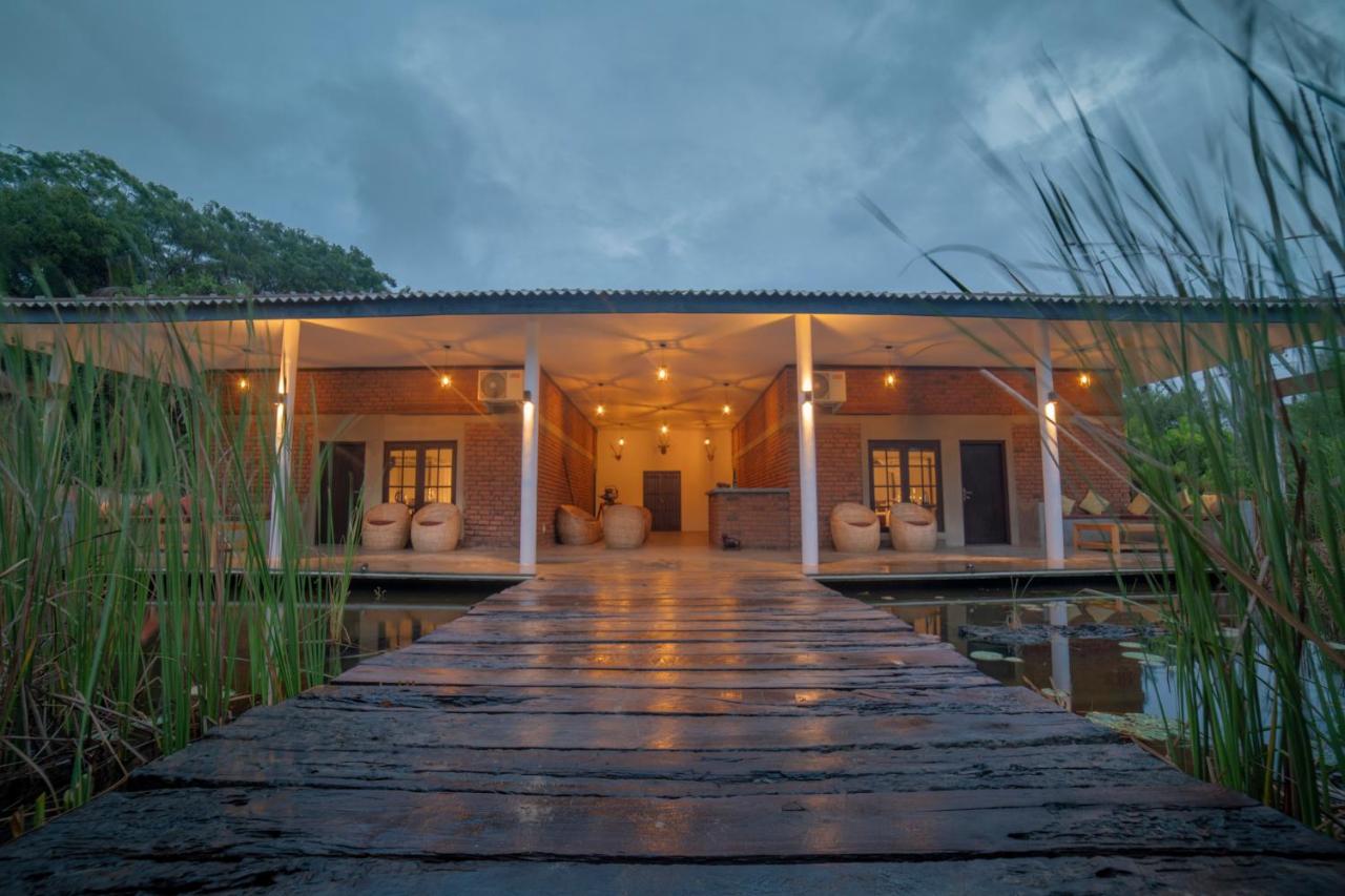 Wild Edge Panama - Kumana Safari Lodge - B&B