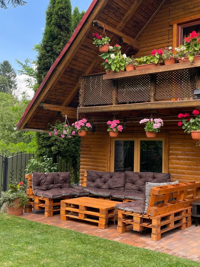 Cabana Mistic - Chambres d’hôtes Bran
