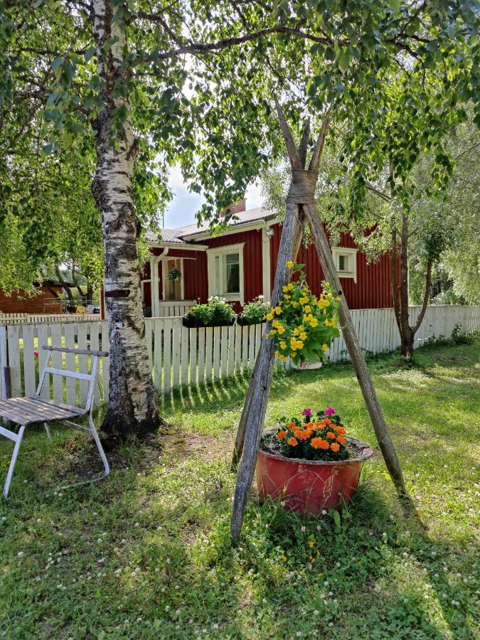 Koivistonpiha farmstay - B&B Valkeakoski