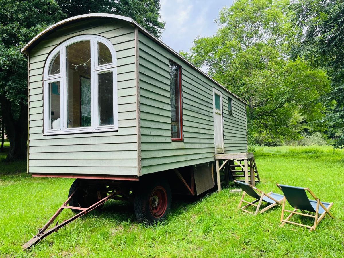 Casa Mobile