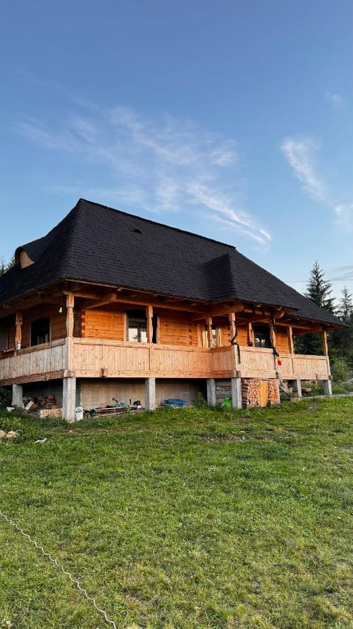 Poiana cu Sinziene - B&B