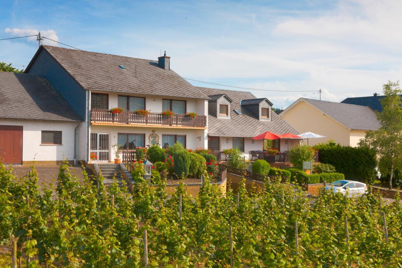 B&B Brauneberg - Pension und Weingut Moselblick - Bed and Breakfast Brauneberg