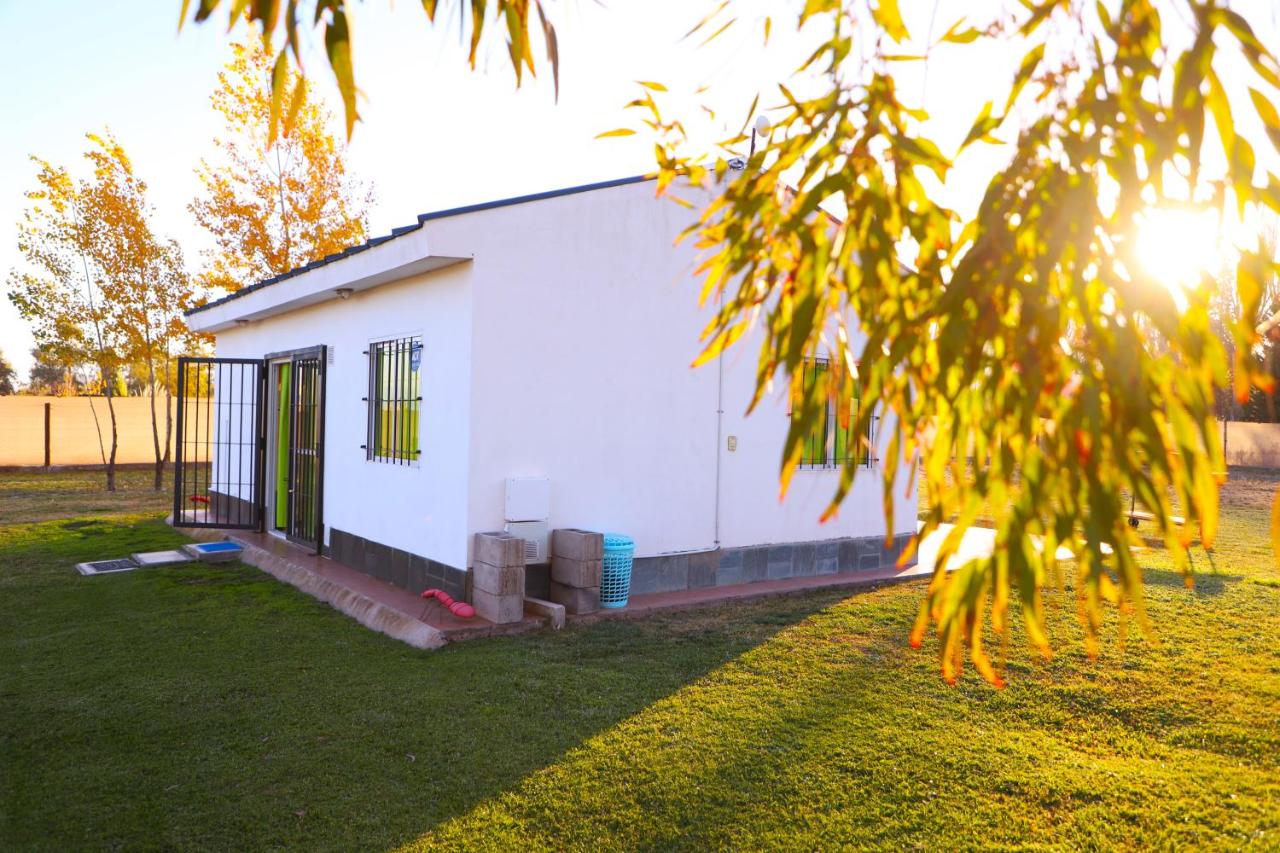 Cabañas Willy verde con pileta climatizada y parque en Mendoza - B&B