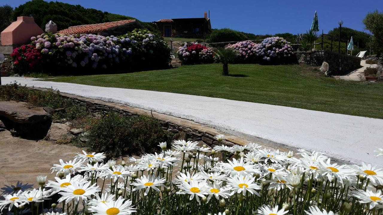Large Two-Bedroom House