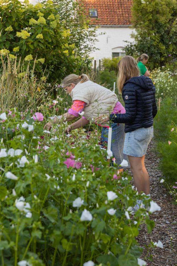 Zee-van-Tijd - B&B Oudenburg