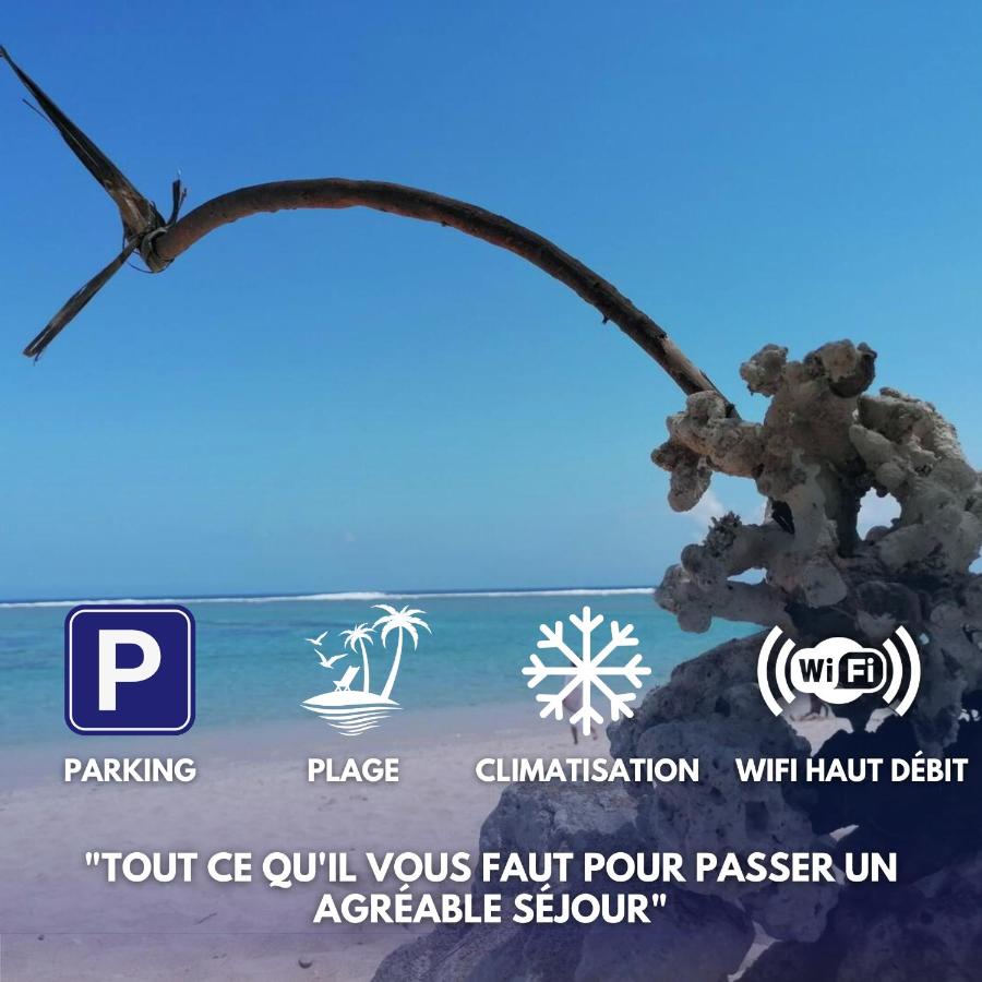 Les zoizeaux- T2 à 100m de la plage de l'ermitage - B&B
