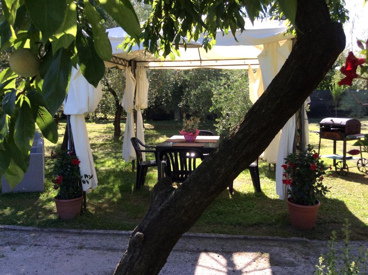 Tenuta Fagnani - B&B