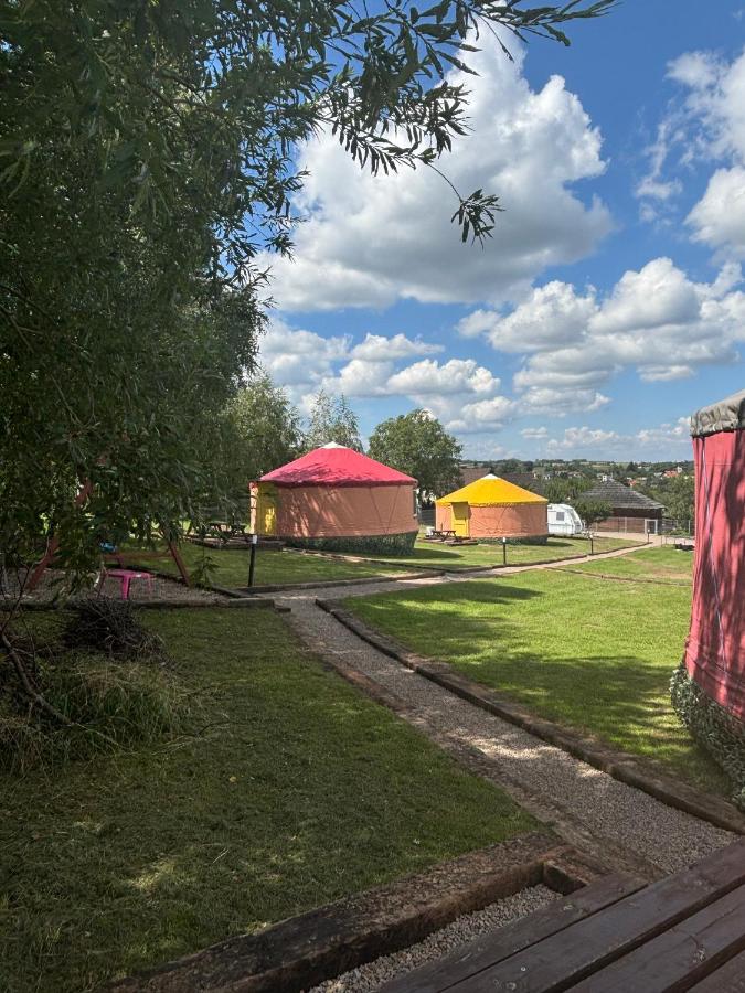 Brzozowy Zagajnik - B&B