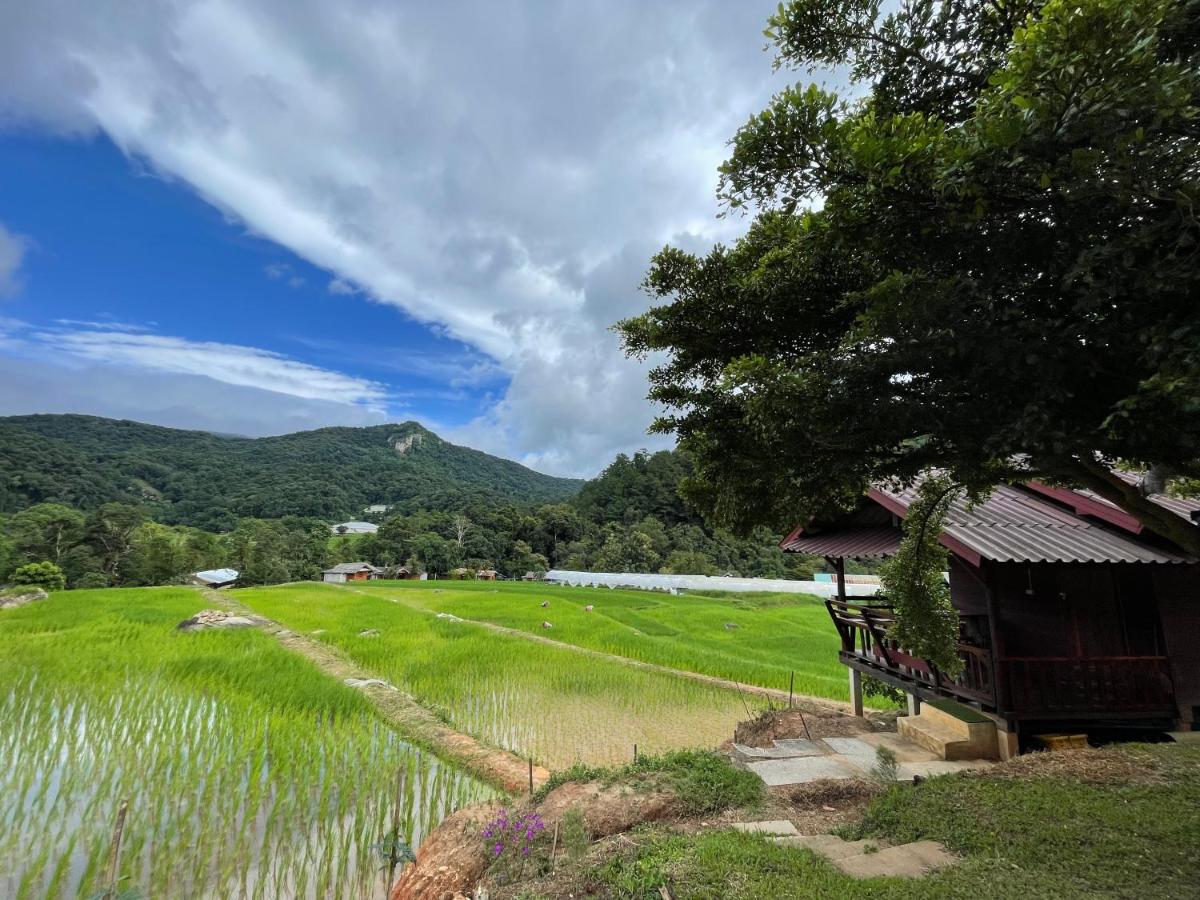 บ้านพักเคียงนา - B&B Ban Mae Ka Luang