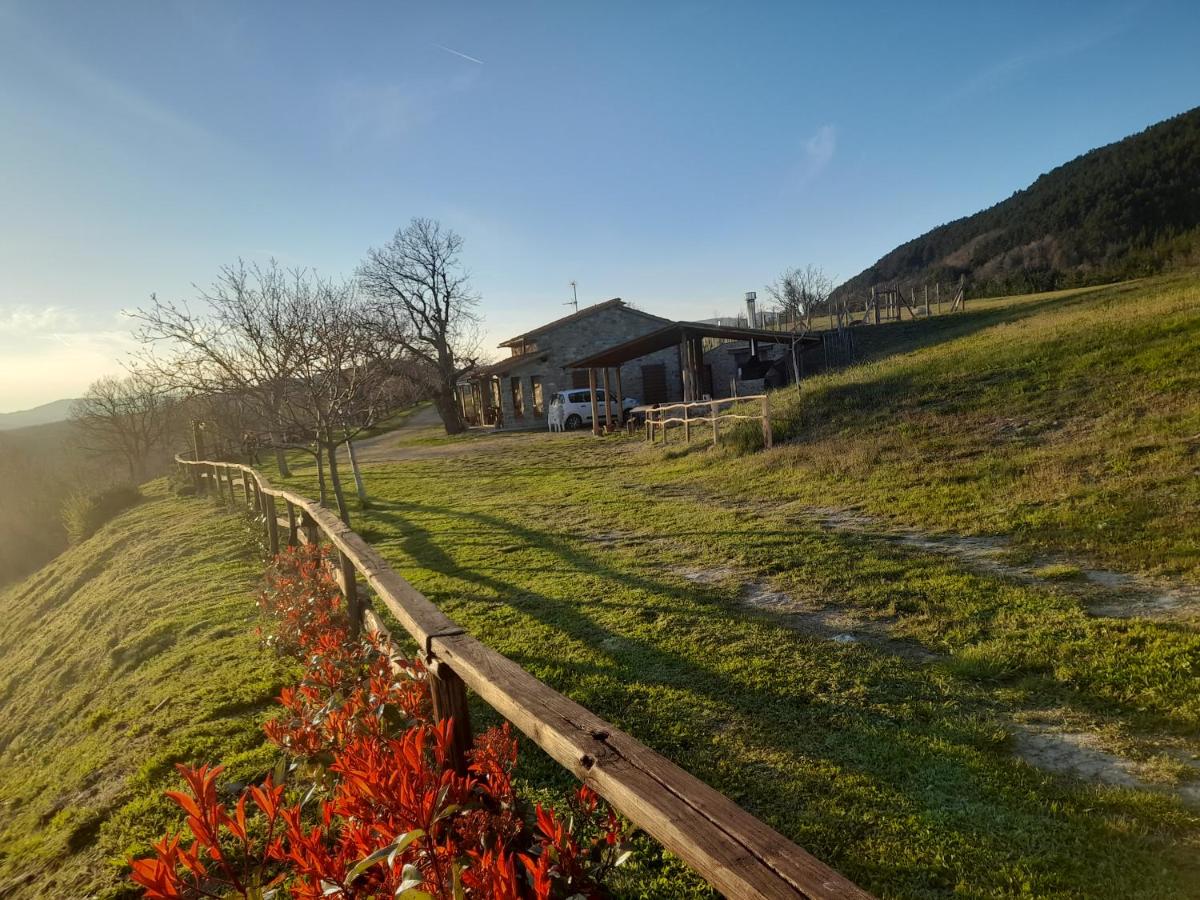 La casetta al castagno - B&B