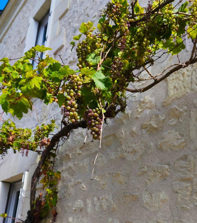 Les Chambres de Nelly - B&B Cravant-les-Coteaux