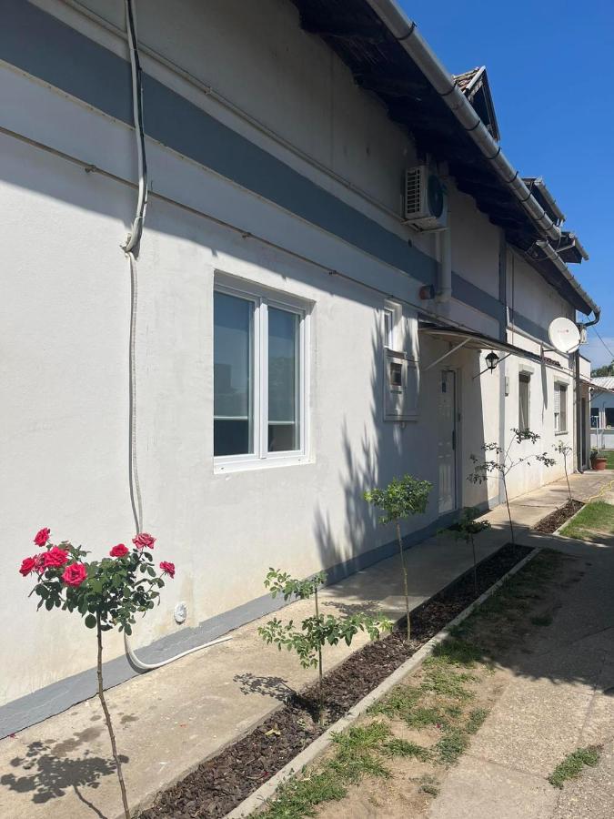 Rooms with private Bathroom & Free Parking ''Sobe Zoka,, - Chambres d’hôtes Subotica