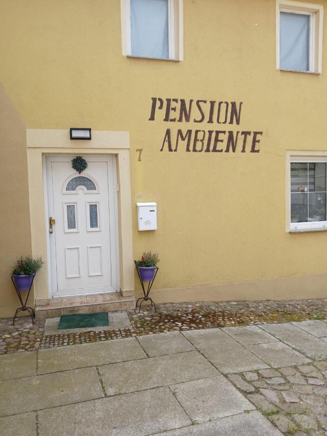 Pension Ambiente - Ferienwohnung Mühlberg/Elbe