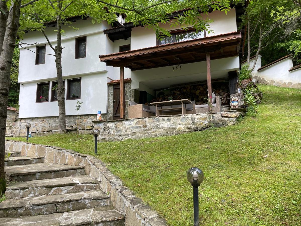 Forest Hill - B&B