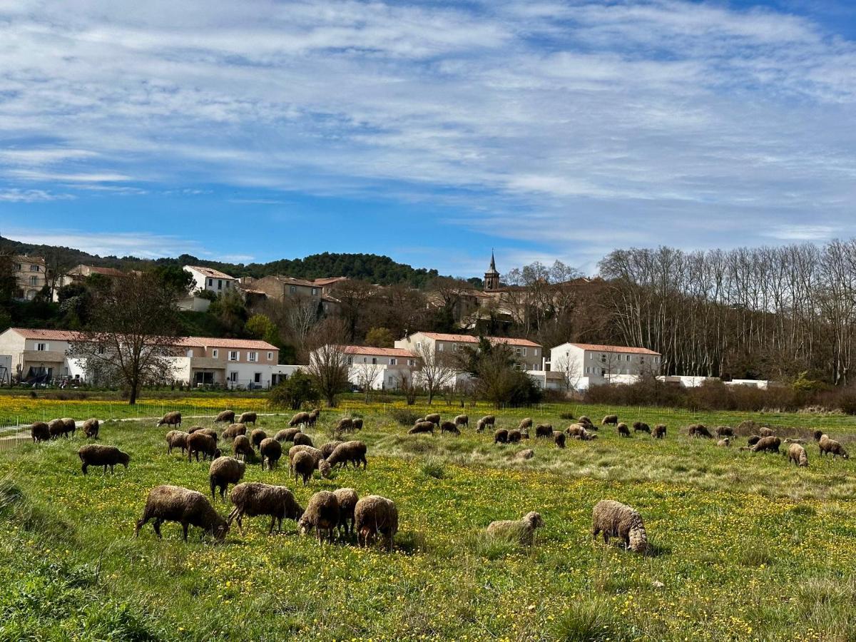 Le 27 Grimaldi - T2 de 50m2 - B&B La Roque-d'Anthéron