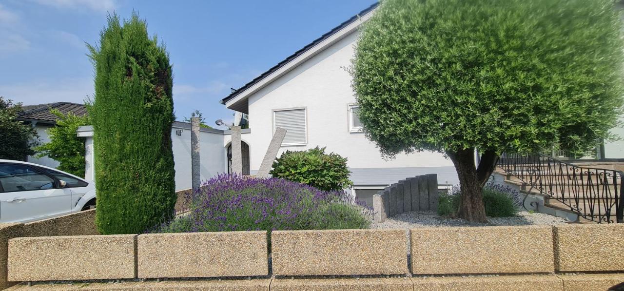 Lunas FeWo - B&B