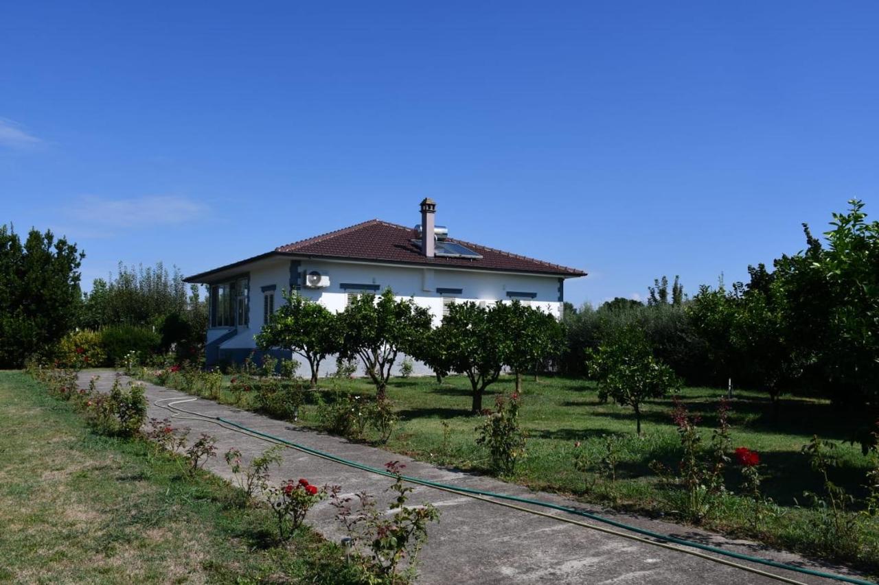 Rrozhani House - Bed and Breakfast Lezhë