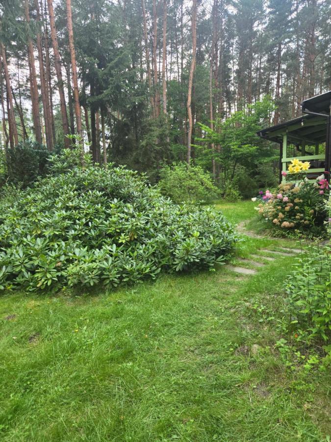 Aloha Summer Cottage - Chambres d’hôtes Łaziska
