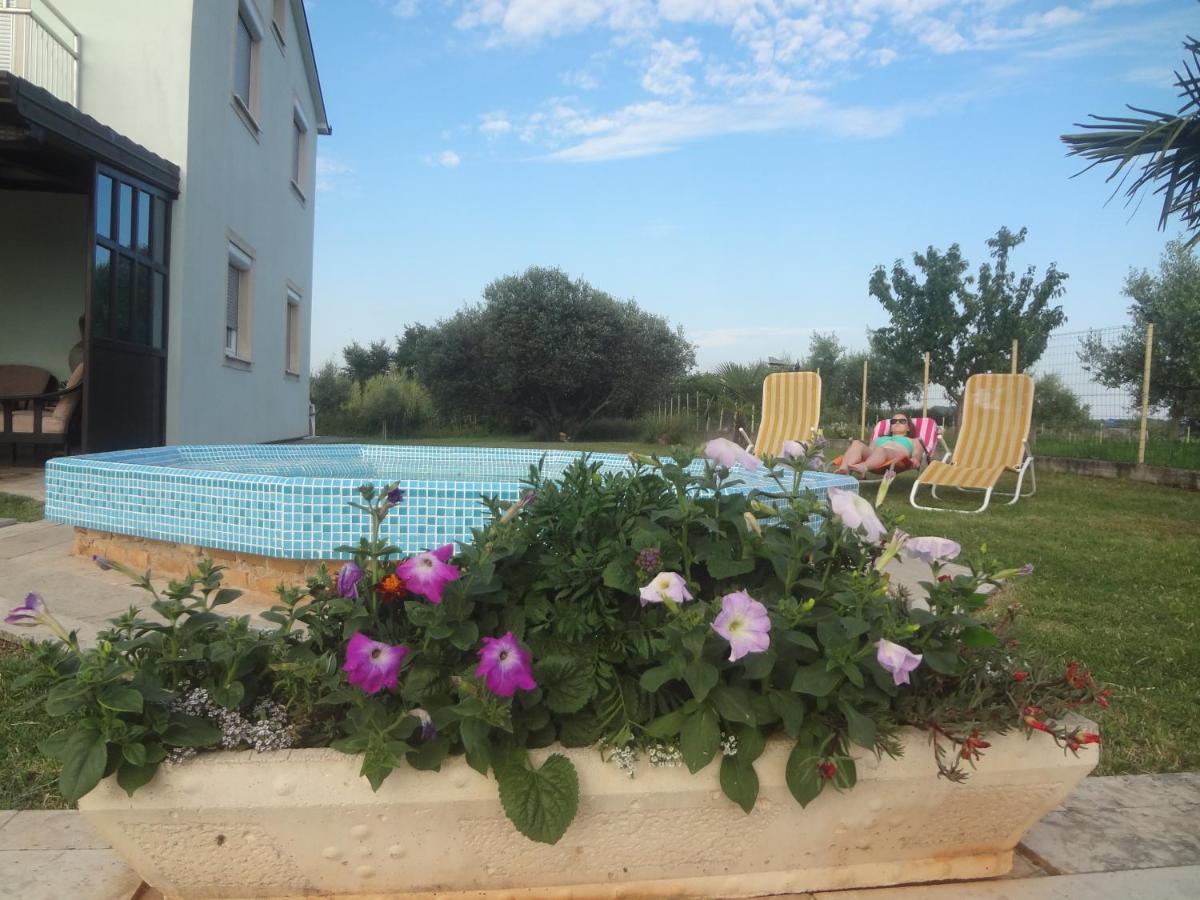 Apartments Ždravac - B&B