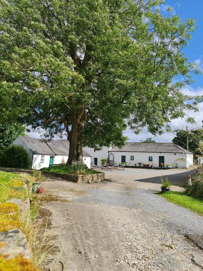 Dernacally House and Spa - Bed and Breakfast Carrigans
