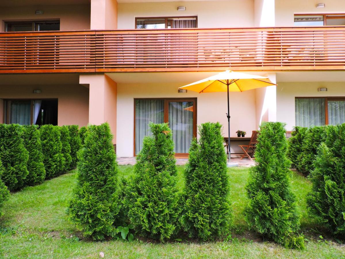 Studio with Terrace