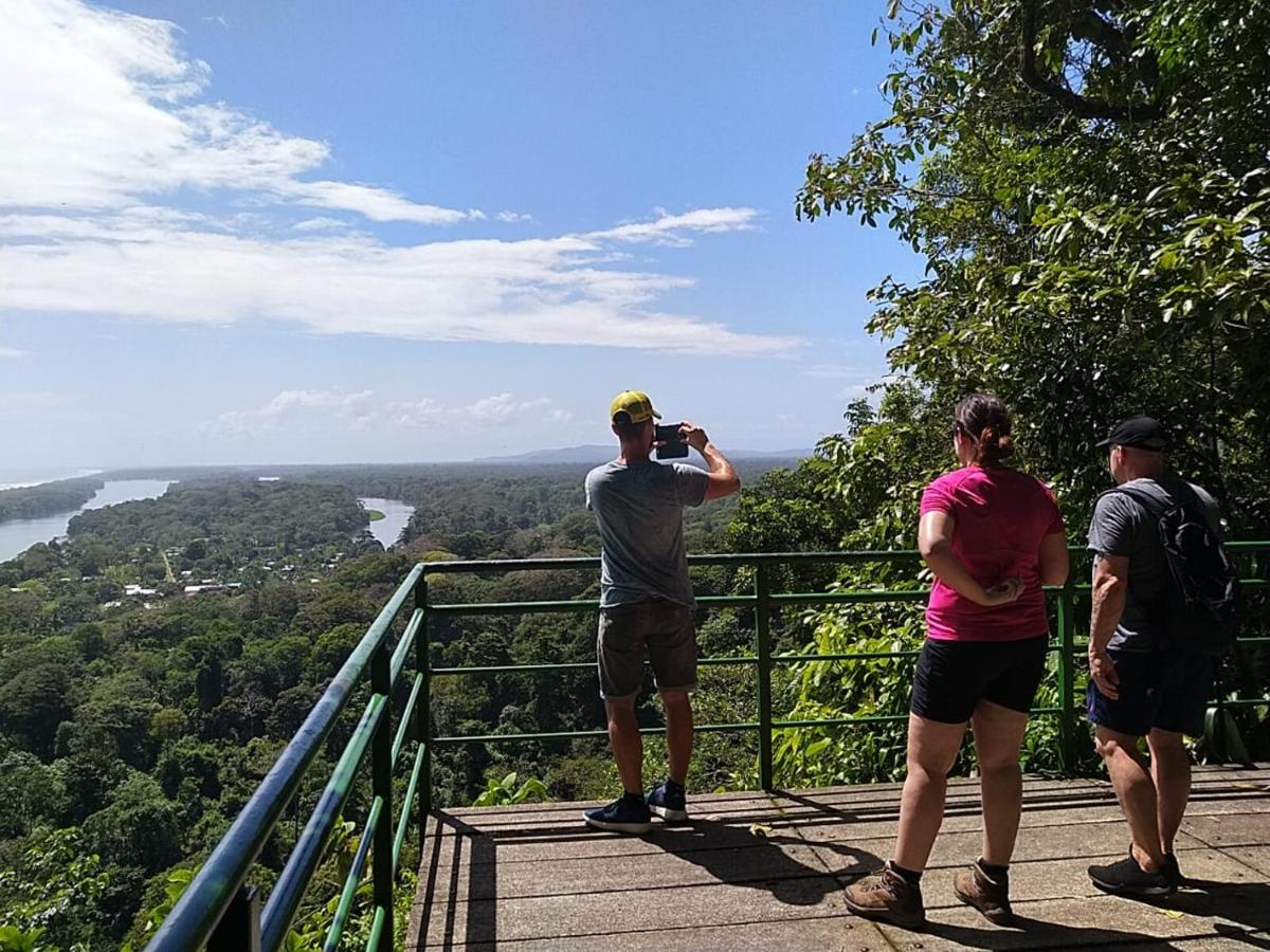 Chilamate Jungle View - B&B Tortuguero