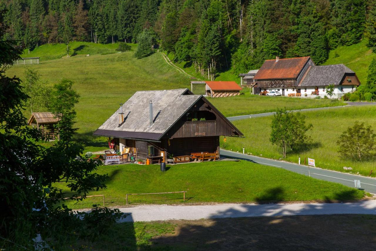 B&B Bled - Brunarica Bled Zatrnik Pokljuka - Bed and Breakfast Bled