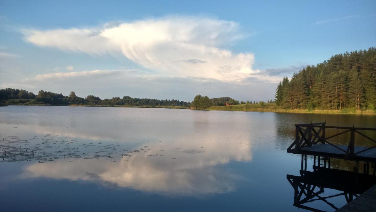 Lake House Villa pas Eugenija - B&B Migiškiai