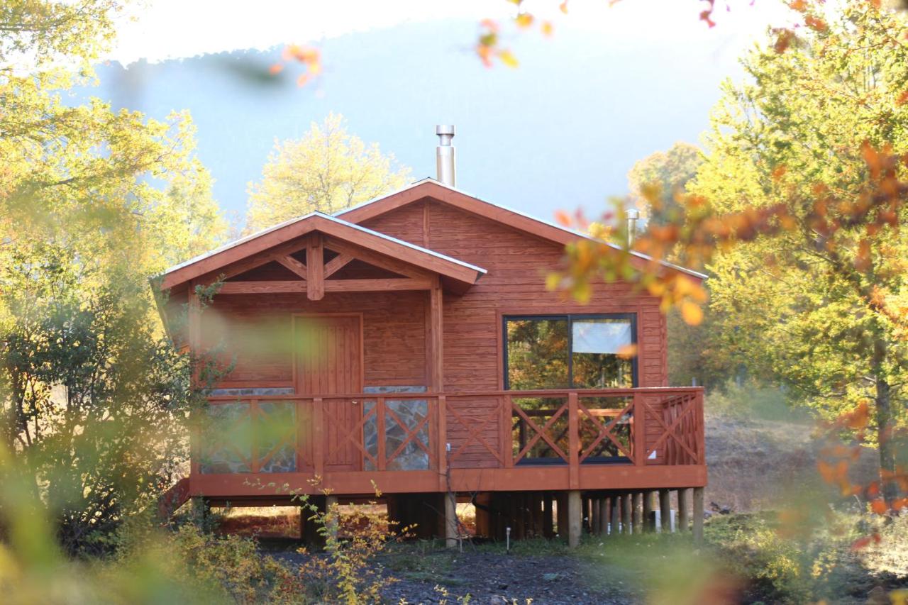 Madre Natura Chile - Ferienwohnung