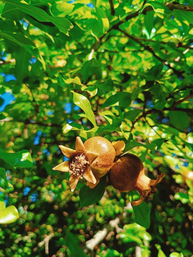 CASA Vacanze Brezza Marina Piras Maria Cristiana - B&B Quartu Sant'Elena