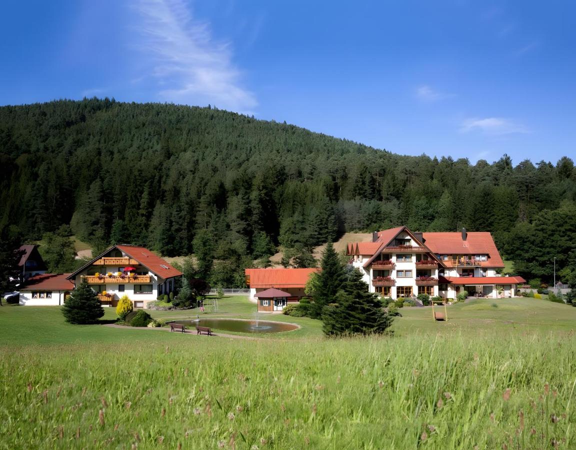 Landhaus Mühlengrund - Ferienwohnung Baiersbronn